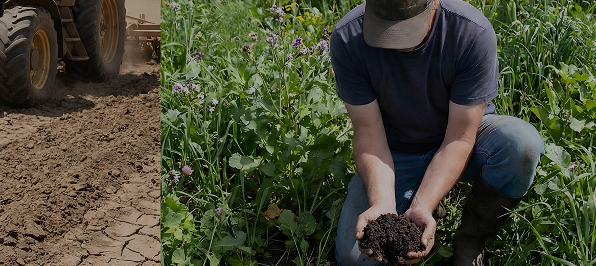 regenerative agriculture built for soil that lasts
