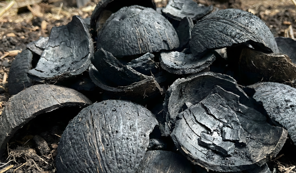 Coconut Shell Biochar