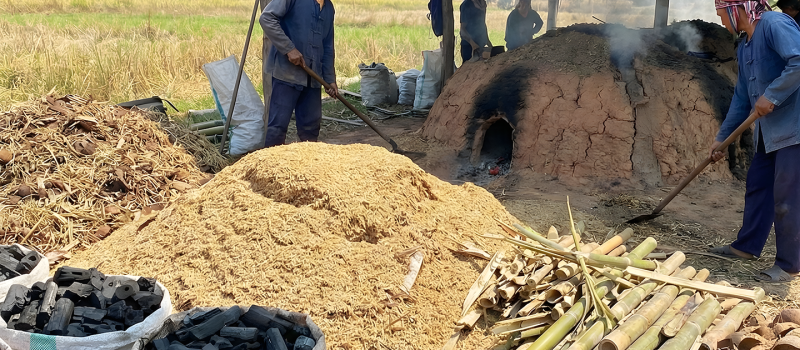 Top-Notch Biochar Sources for Farming Success