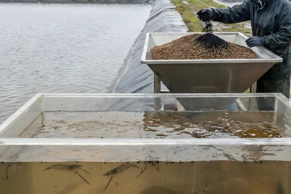 aquaculture feed programs