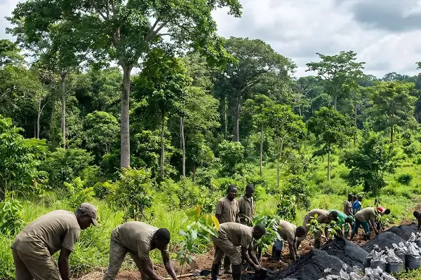 carbon reduction and offset programs