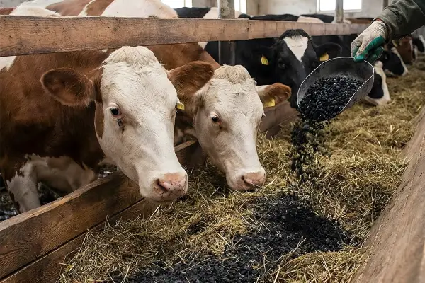 methane-focused feeding strategies