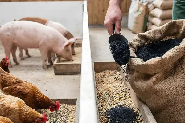 poultry & monogastric feed