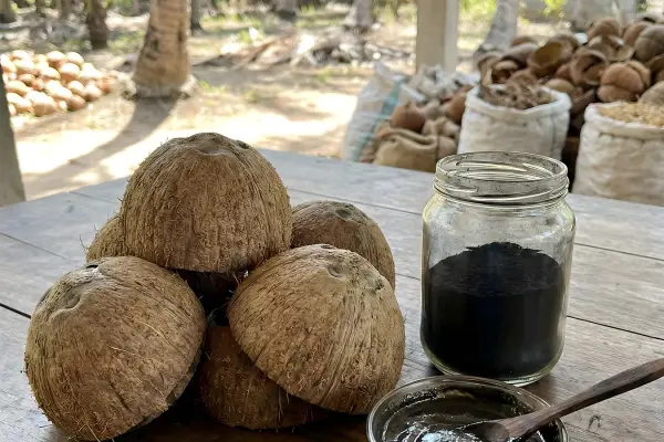 sustainably sourced base